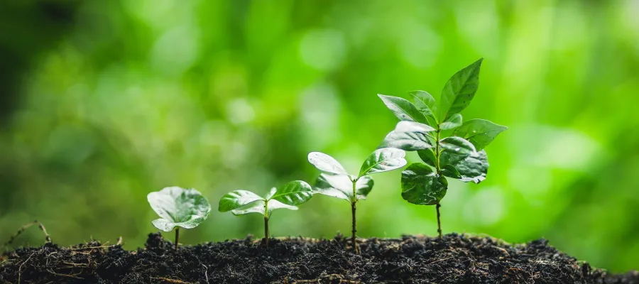 Career Progression and Professional Development